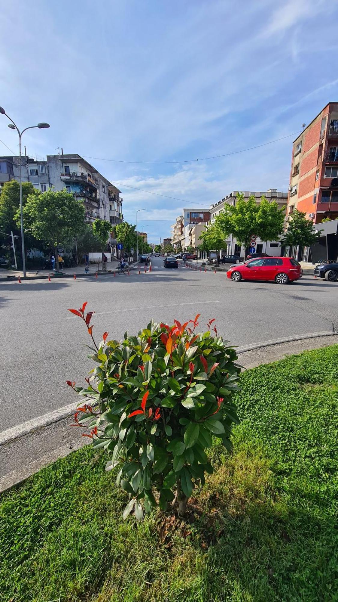 Dei Cozy Shkoder